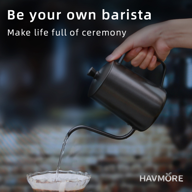 HAVMORE Bollitore per tè in ac - Coffee Tea Pots recensione e prezzo